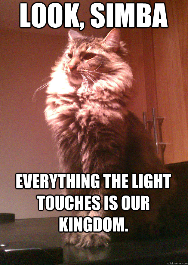 Look, Simba Everything the light touches is our kingdom.  - Look, Simba Everything the light touches is our kingdom.   Misc