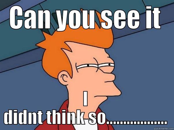 CAN YOU SEE IT I DIDNT THINK SO.................. Futurama Fry