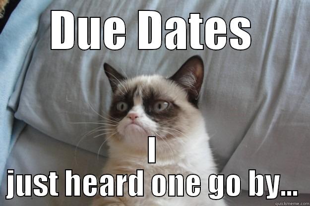 College Due Dates - DUE DATES I JUST HEARD ONE GO BY... Grumpy Cat