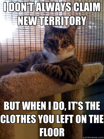 I DON'T ALWAYS CLAIM NEW TERRITORY BUT WHEN I DO, IT'S THE CLOTHES YOU LEFT ON THE FLOOR  The Most Interesting Cat in the World