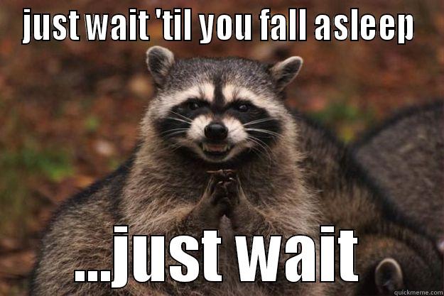 JUST WAIT 'TIL YOU FALL ASLEEP ...JUST WAIT Evil Plotting Raccoon