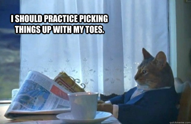 i should practice picking things up with my toes.  Sophisticated Cat