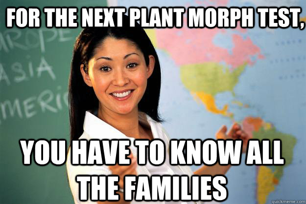 For the next plant morph test,  You have to know ALL the families   Unhelpful High School Teacher