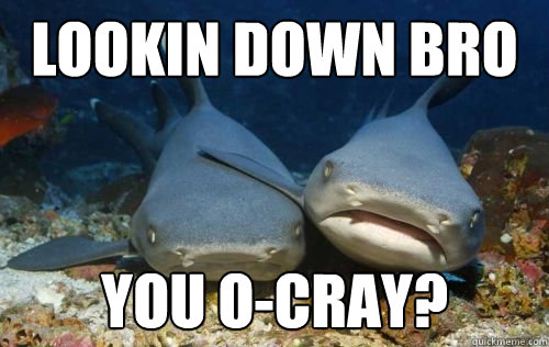 Lookin down bro You o-cray?  Compassionate Shark Friend