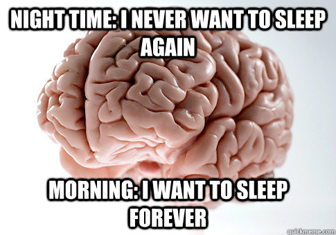 NIGHT TIME: I NEVER WANT TO SLEEP AGAIN MORNING: I WANT TO SLEEP FOREVER  Scumbag Brain
