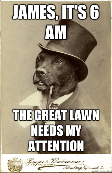 James, it's 6 am The great lawn needs my attention  Old Money Dog