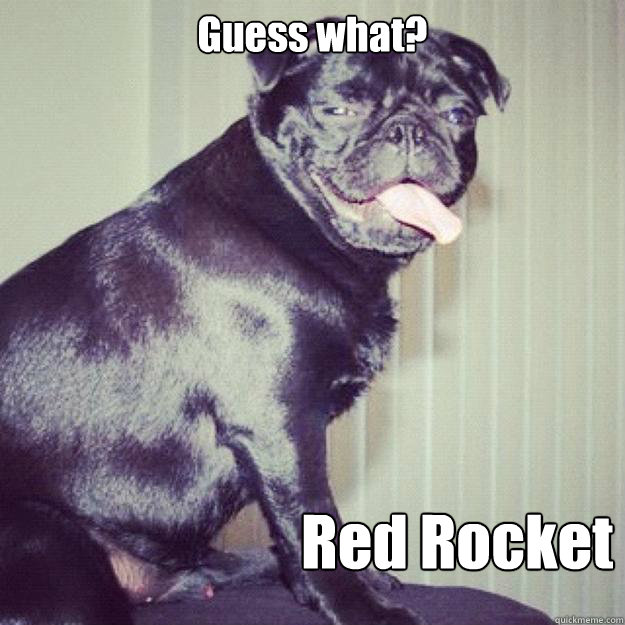 Guess what? Red Rocket - Guess what? Red Rocket  Lazy Pug
