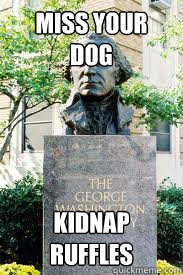miss your dog kidnap ruffles  Ironic GWU