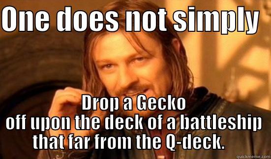ONE DOES NOT SIMPLY   DROP A GECKO OFF UPON THE DECK OF A BATTLESHIP THAT FAR FROM THE Q-DECK.    Boromir