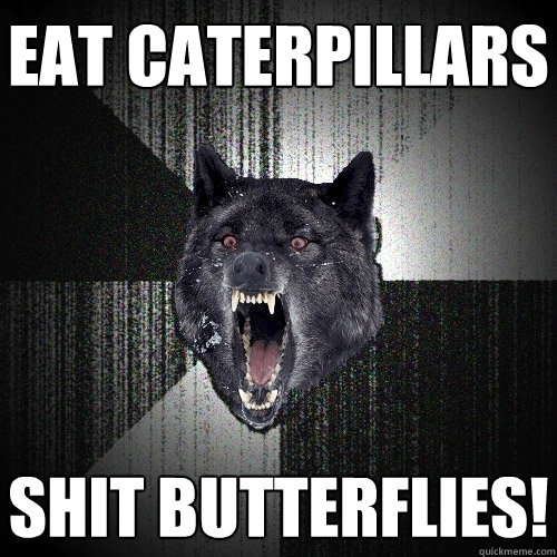 Eat caterpillars shit butterflies!  Insanity Wolf