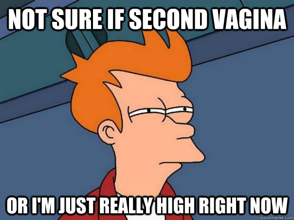 Not sure if second vagina or i'm just really high right now - Not sure if second vagina or i'm just really high right now  Futurama Fry