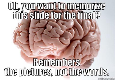 OH, YOU WANT TO MEMORIZE THIS SLIDE FOR THE FINAL? REMEMBERS THE PICTURES, NOT THE WORDS. Scumbag Brain
