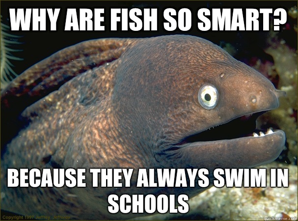 Why are fish so smart? Because they always swim in schools  Bad Joke Eel