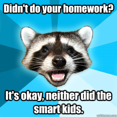 Didn't do your homework? It's okay, neither did the smart kids.   Lame Pun Coon