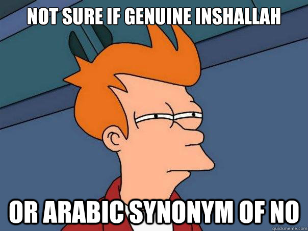 Not sure if genuine inshallah or arabic synonym of no  Futurama Fry