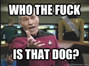Who the fuck is that dog?  Annoyed Picard