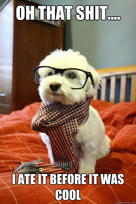 oh that shit.... i ate it before it was cool - oh that shit.... i ate it before it was cool  Hipster Dog