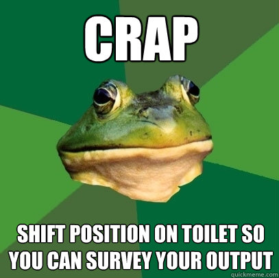 crap Shift position on toilet so you can survey your output  Foul Bachelor Frog
