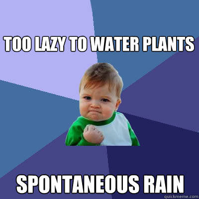too lazy to water plants spontaneous rain   Success Baby