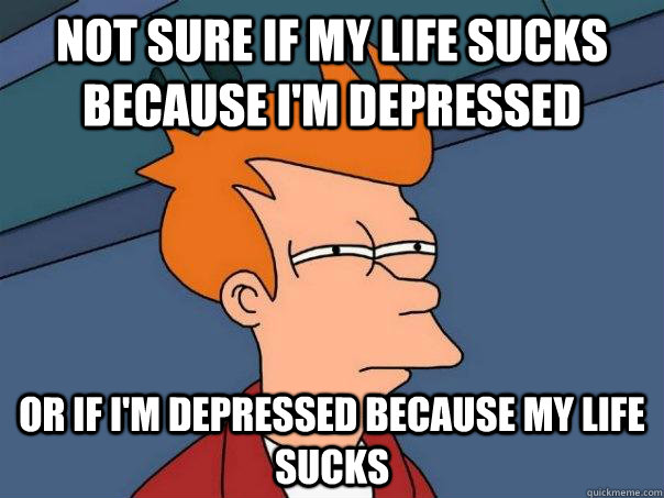 Not sure if my life sucks because I'm depressed Or if I'm depressed because my life sucks  Futurama Fry