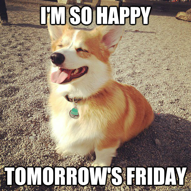 I'm so Happy Tomorrow's Friday  Corgi Fridays