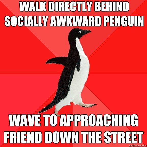 walk directly behind socially awkward penguin wave to approaching friend down the street - walk directly behind socially awkward penguin wave to approaching friend down the street  Socially Awesome Penguin