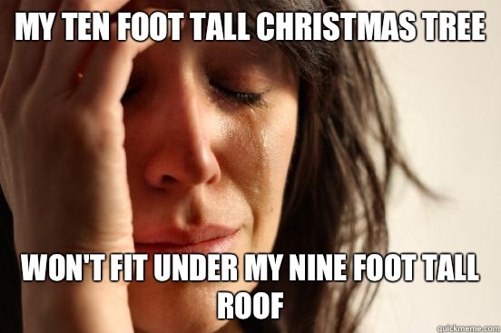 My ten foot tall christmas tree  Won't fit under my nine foot tall roof  First World Problems