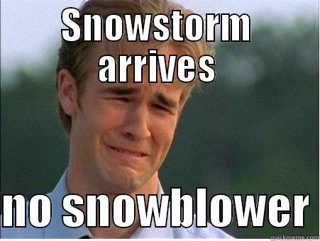 SNOWSTORM ARRIVES  NO SNOWBLOWER 1990s Problems