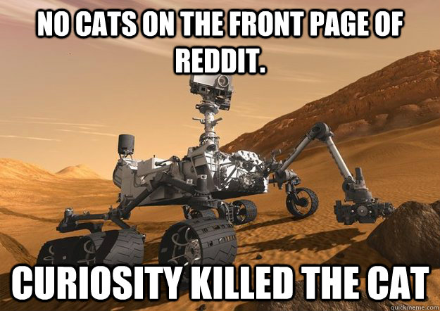 No cats on the front page of reddit. Curiosity killed the cat - No cats on the front page of reddit. Curiosity killed the cat  Curiosity killed the cat