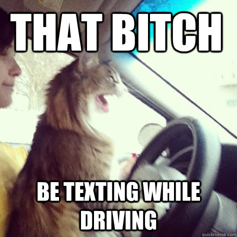 That Bitch Be Texting While Driving - That Bitch Be Texting While Driving  Road Rage Cat