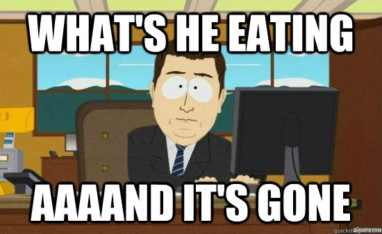 what's he eating AAAAND it's GONE  aaaand its gone