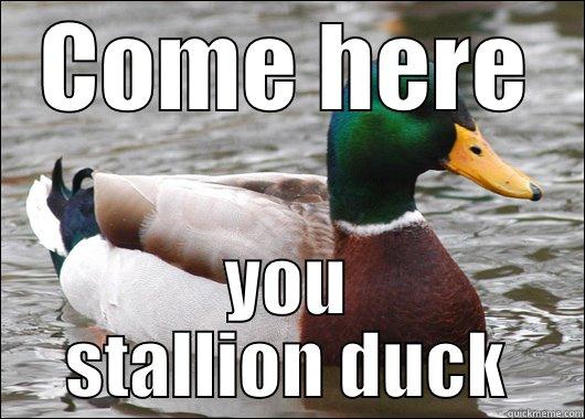 COME HERE YOU STALLION DUCK Actual Advice Mallard