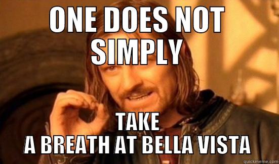 ONE DOES NOT SIMPLY TAKE A BREATH AT BELLA VISTA Boromir