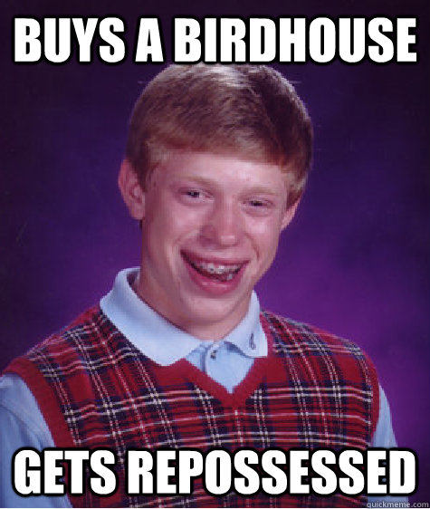 buys a birdhouse gets repossessed - buys a birdhouse gets repossessed  Bad Luck Brian
