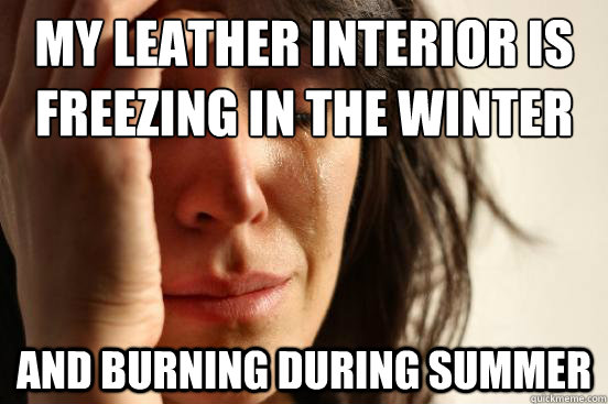 My leather interior is freezing in the winter
 and burning during summer  First World Problems