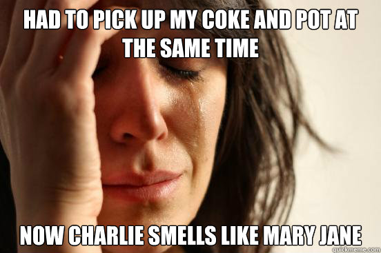 HAD TO PICK UP MY COKE AND POT AT THE SAME TIME NOW CHARLIE SMELLS LIKE MARY JANE  First World Problems
