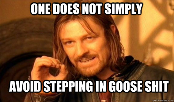 One does not simply avoid stepping in goose shit  Boromir
