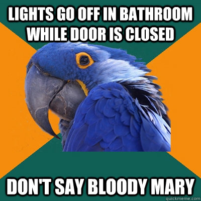 Lights go off in bathroom while door is closed Don't say Bloody Mary  Paranoid Parrot