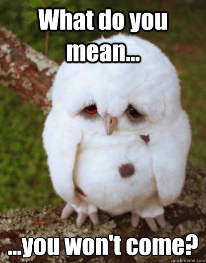 What do you mean...                                                                                                                                       
...you won't come? - What do you mean...                                                                                                                                       
...you won't come?  Depressed Baby Owl