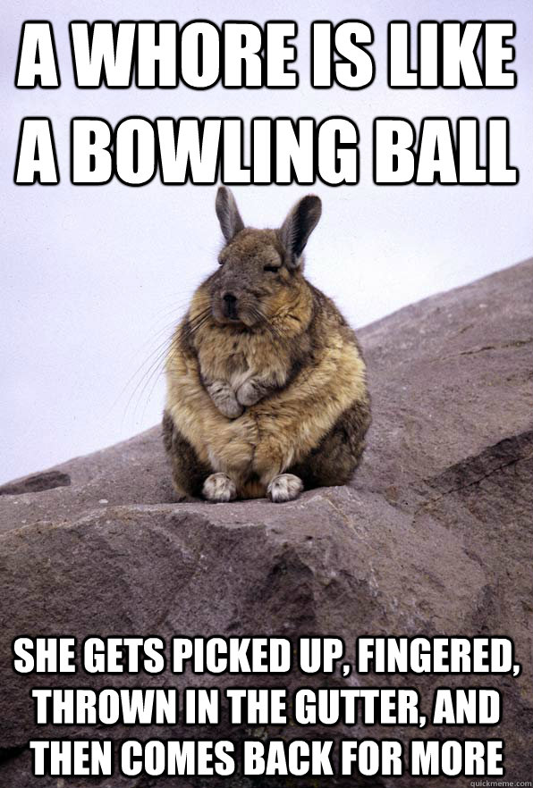 A whore is like a bowling ball she gets picked up, fingered, thrown in the gutter, and then comes back for more  Wise Wondering Viscacha