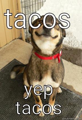 TACOS YEP TACOS Good Dog Greg