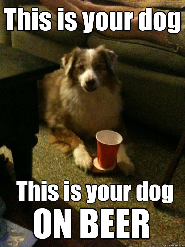 This is your dog This is your dog ON BEER  Drink Dog