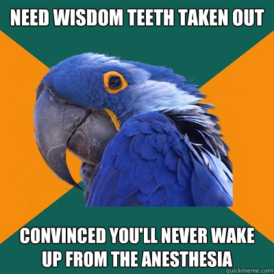 Need wisdom teeth taken out Convinced you'll never wake up from the anesthesia  Paranoid Parrot