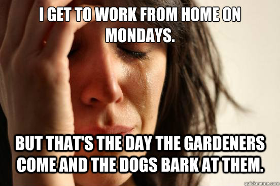 I get to work from home on Mondays.  But that's the day the gardeners come and the dogs bark at them.  First World Problems