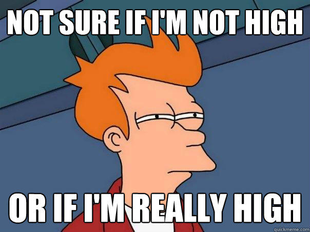 not sure if I'm not high or if I'm really high - not sure if I'm not high or if I'm really high  Futurama Fry