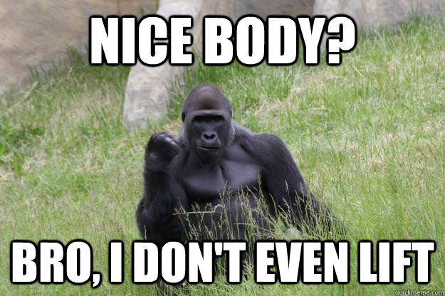 Nice Body? Bro, I don't even lift - Nice Body? Bro, I don't even lift  Success Gorilla