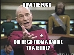 How the fuck Did he go from a canine
To a feline?  Annoyed Picard