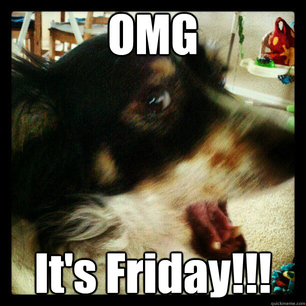 OMG It's Friday!!!  Friday dog