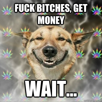 FUCK BITCHES, GET MONEY WAIT... - FUCK BITCHES, GET MONEY WAIT...  Stoner Dog