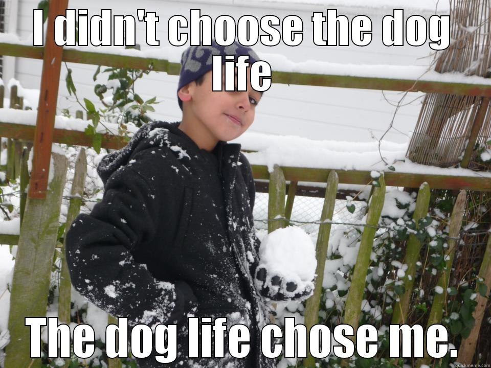 I DIDN'T CHOOSE THE DOG LIFE THE DOG LIFE CHOSE ME. Misc